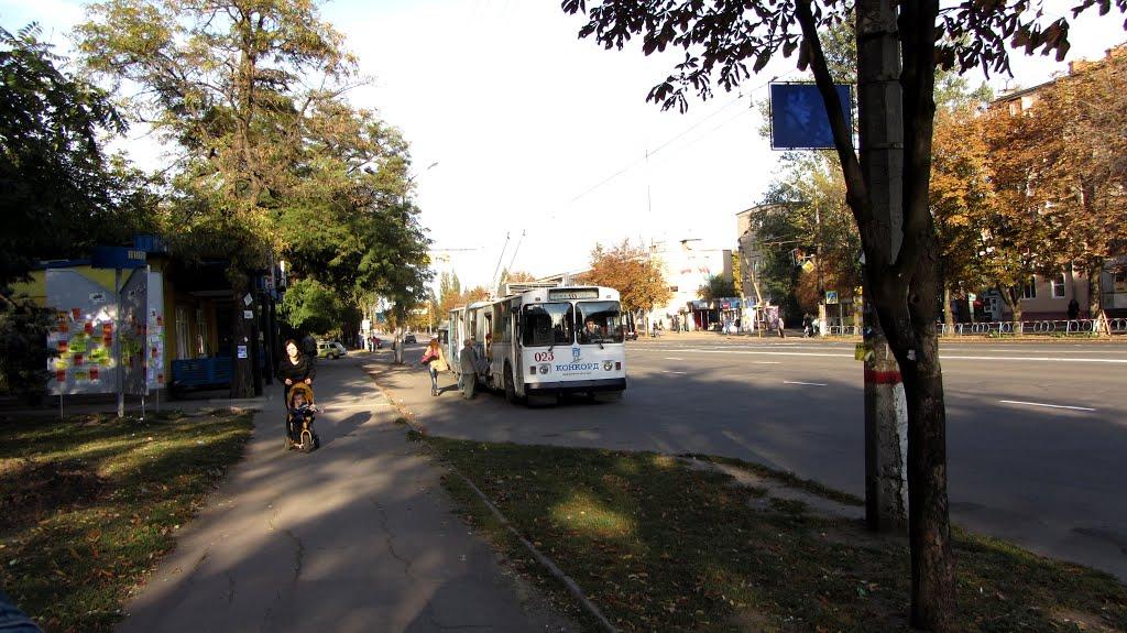 Тернуватий Кут з panoramio.com (ч.2) - Тернуватий Кут