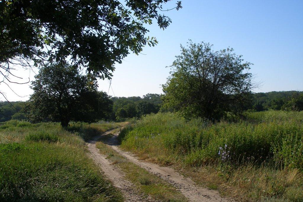 Суровцівка з panoramio.com - Surovtsivka