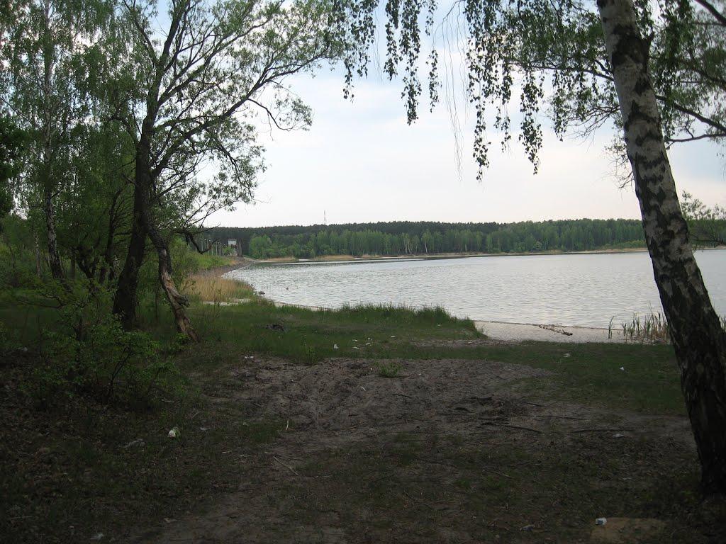 Нова Борова з panoramio.com - Нова Борова