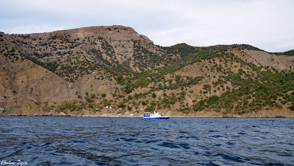 Резервне з panoramio.com (ч.4) - Резервное