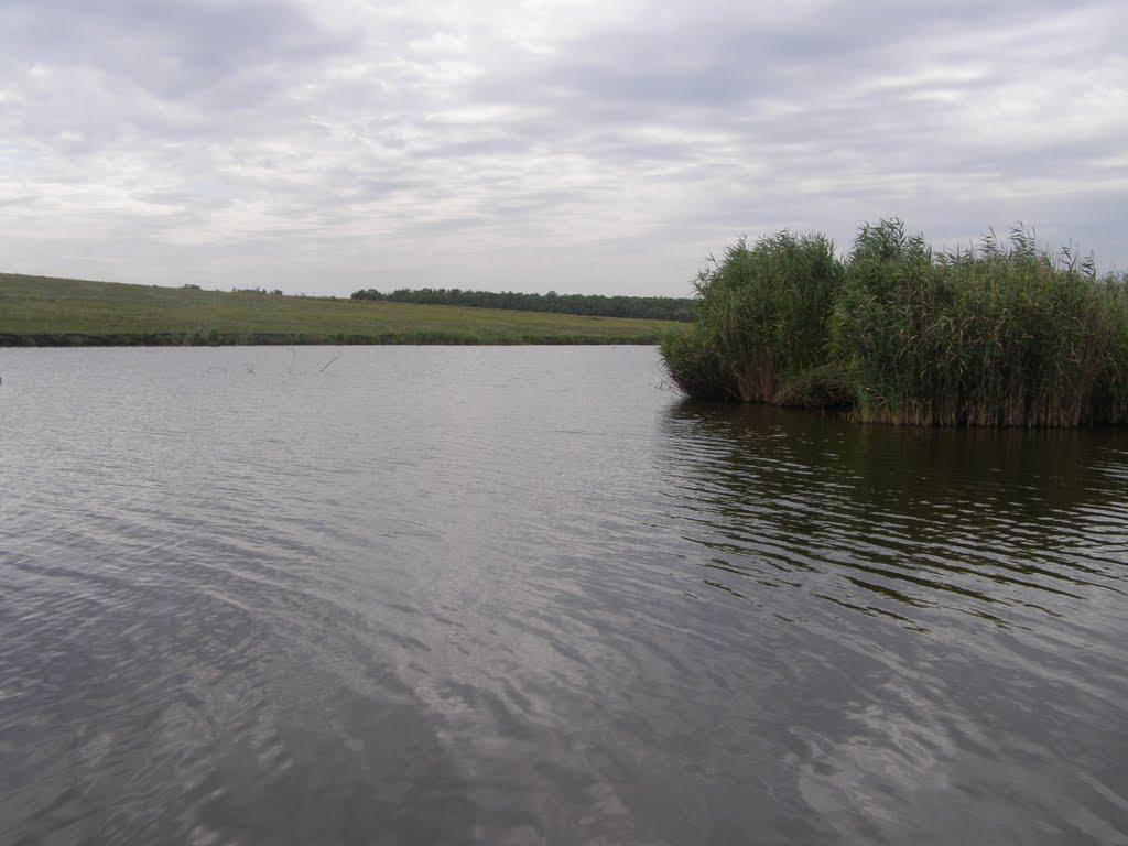 Червона Колона з panoramio.com - Червона Колона