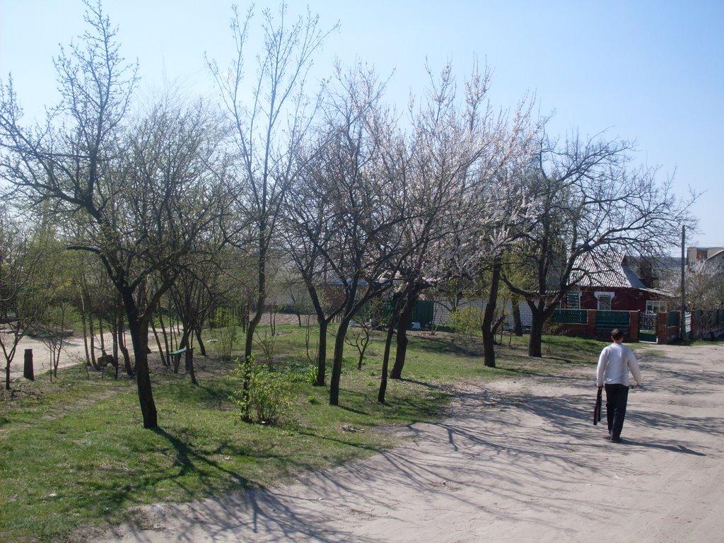 Гайсин з panoramio.com (ч.3) - Гайсин