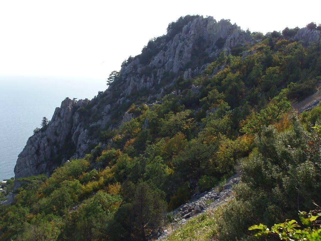 Гірне з panoramio.com - Гірне