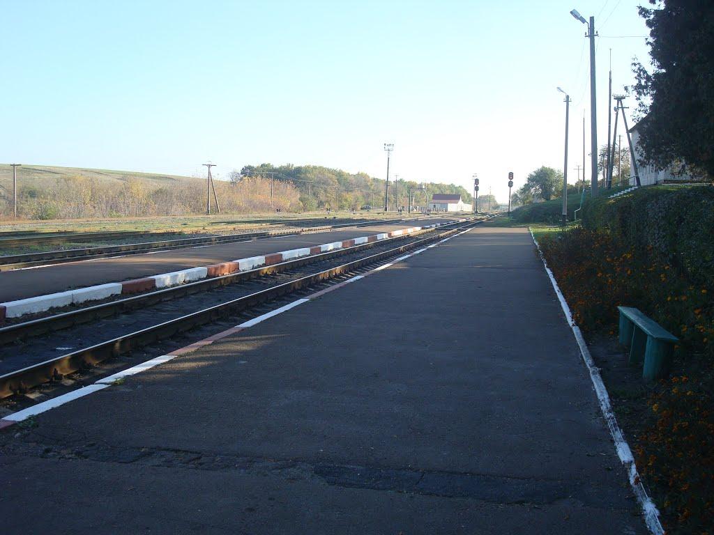 Томашівка з panoramio.com - Томашівка