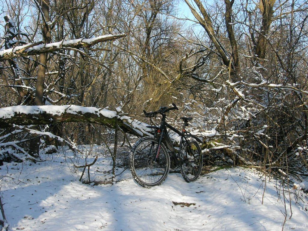 Львів з panoramio.com - Львів