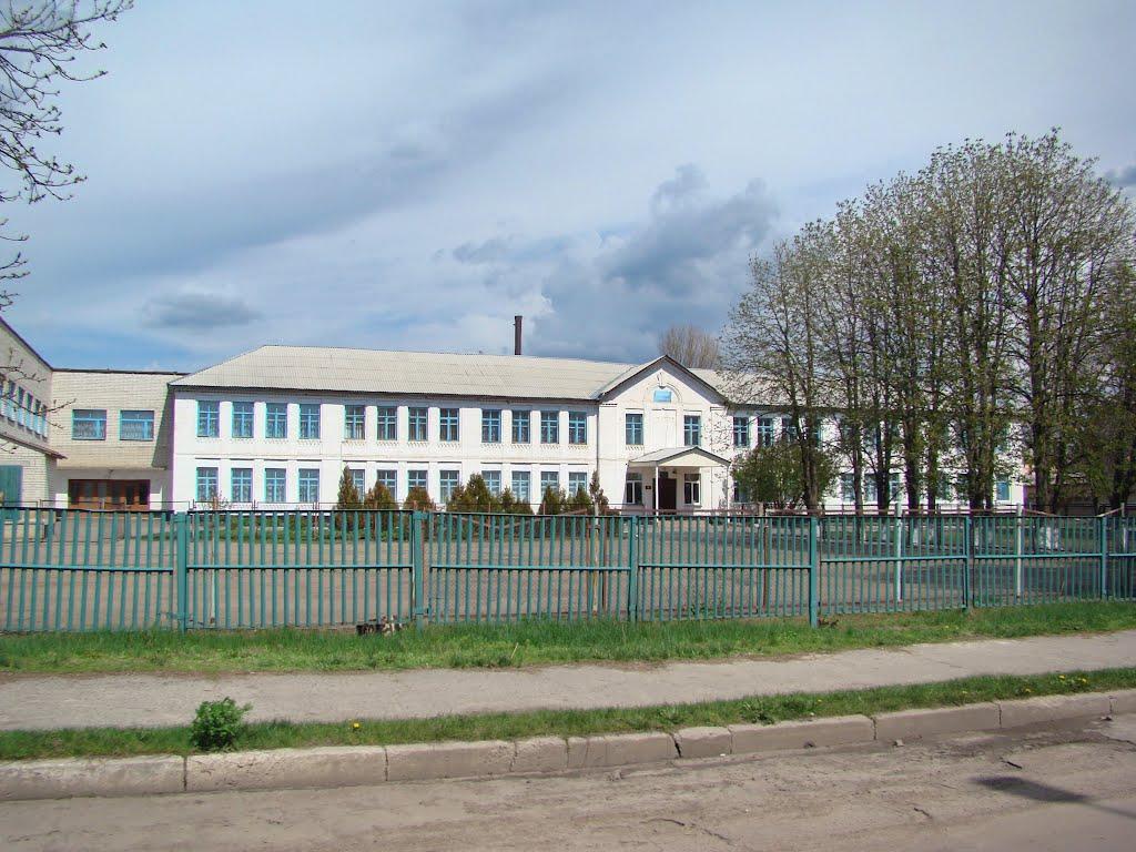 Кам'янка з panoramio.com - Кам'янка