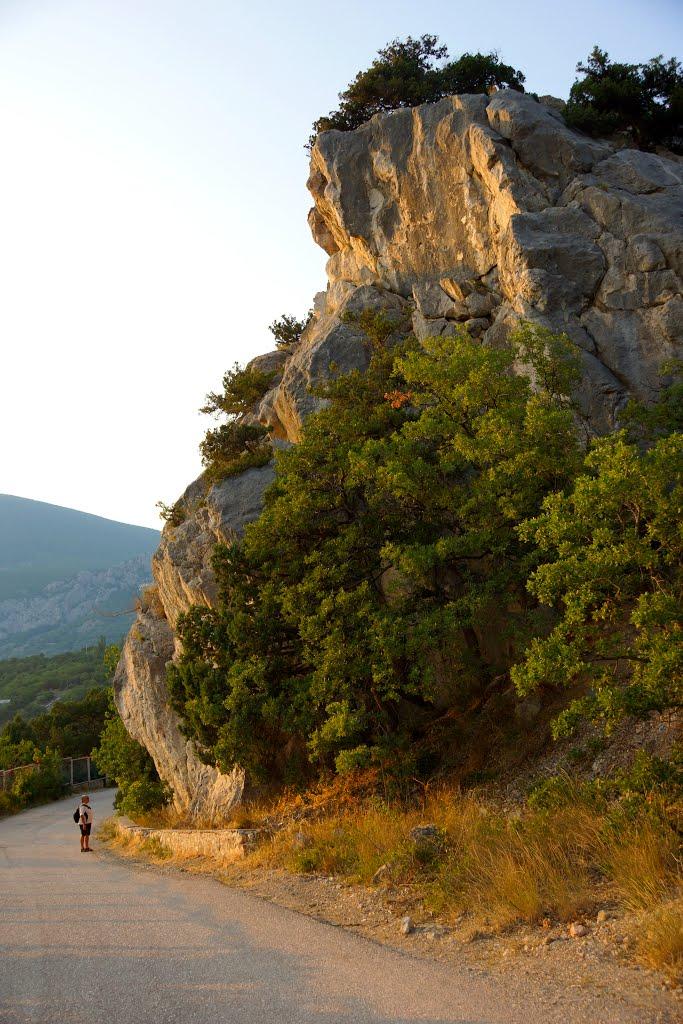 Тилове з panoramio.com - Тыловое