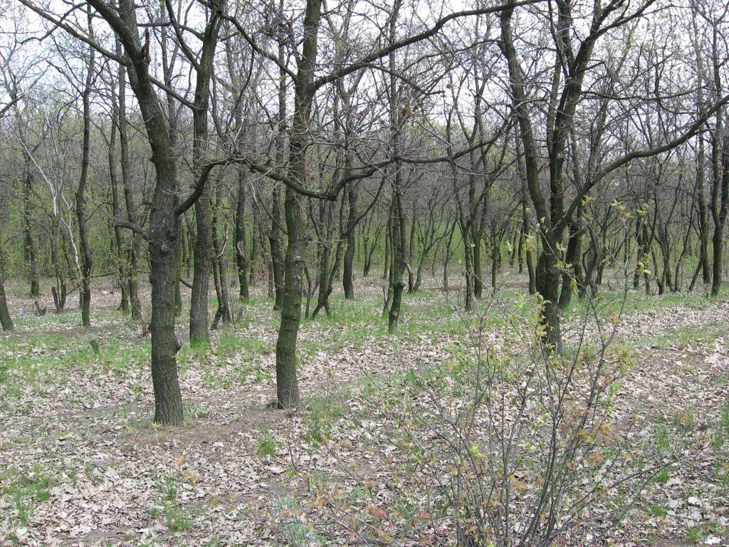 Горлівка з panoramio.com (ч.7) - Горловка