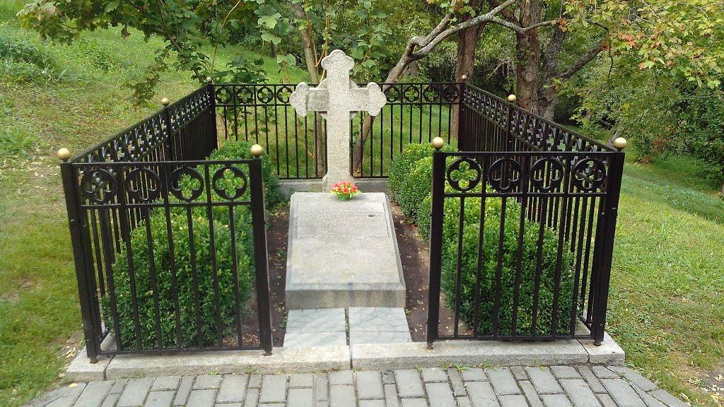 Шевченкове з panoramio.com - Шевченкове