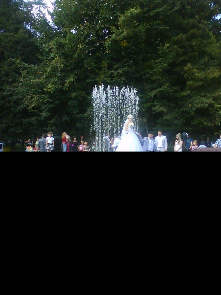 Тернуватий Кут з panoramio.com (ч.2) - Тернуватий Кут