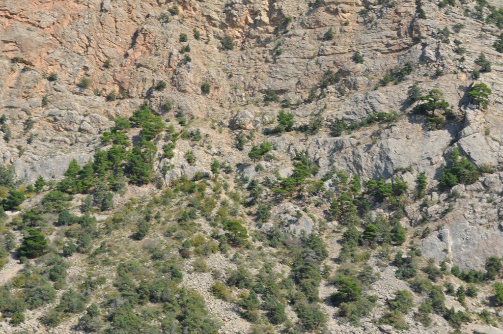 Резервне з panoramio.com (ч.4) - Резервное
