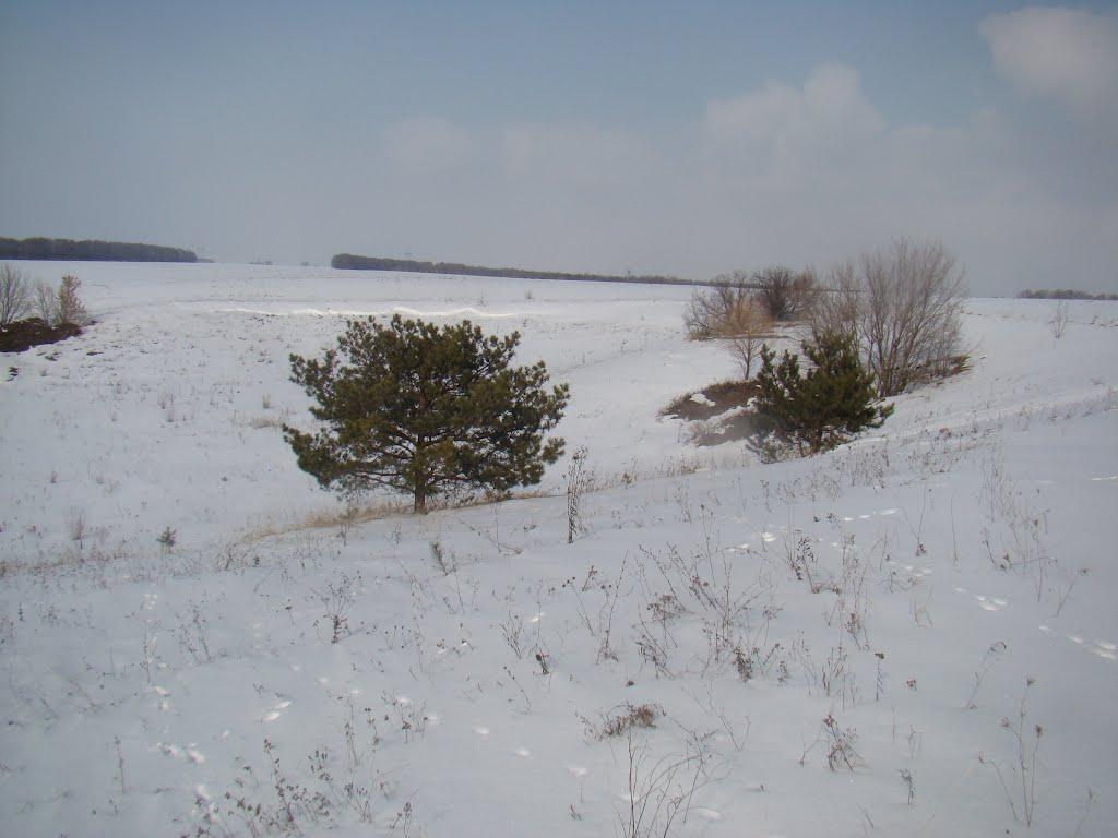 Демівщина з panoramio.com - Демівщина