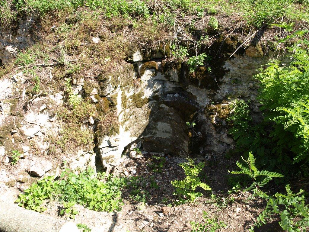 Косонь з panoramio.com - Косонь