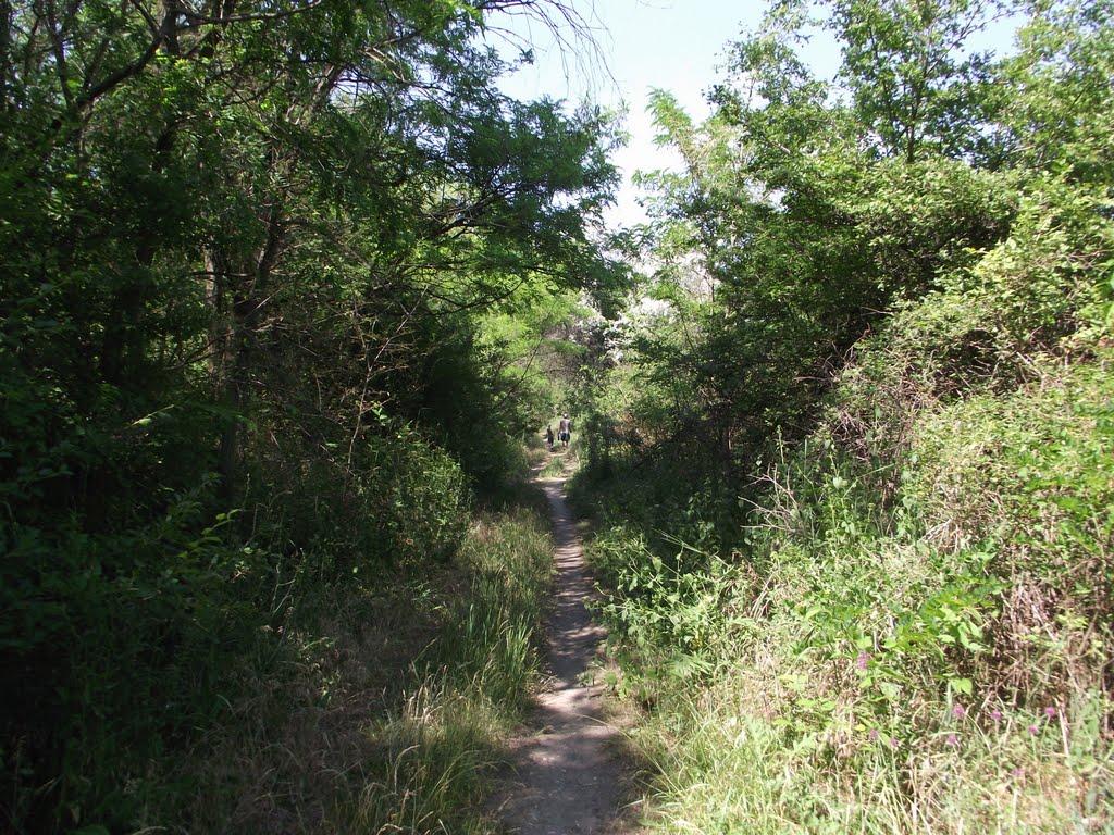 Приморське з panoramio.com - Приморське