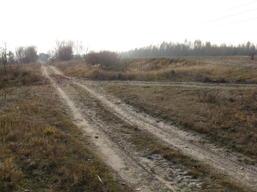 Домашів з panoramio.com - Домашів