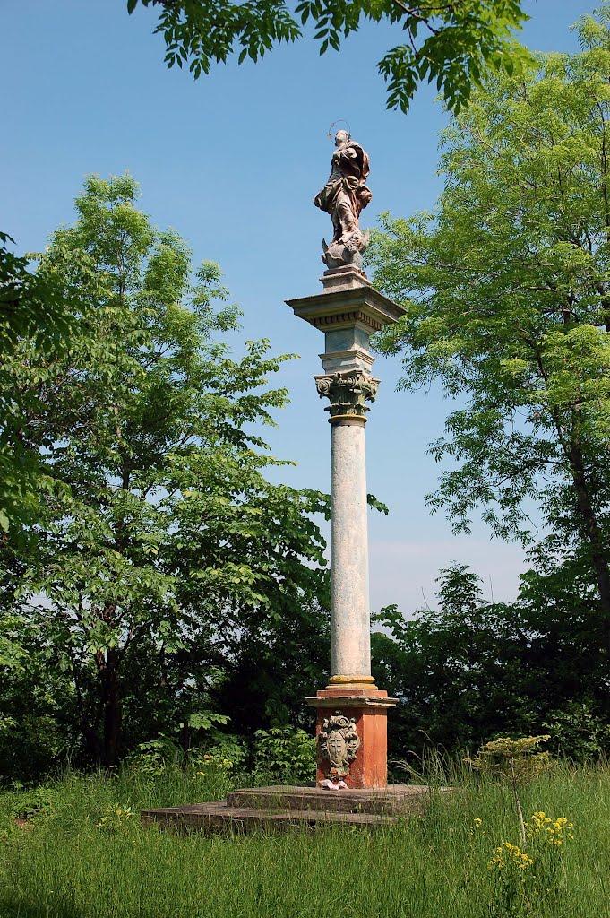 Велика Вільшаниця з panoramio.com - Велика Вільшаниця