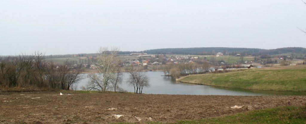 Леськівка з panoramio.com - Леськовка