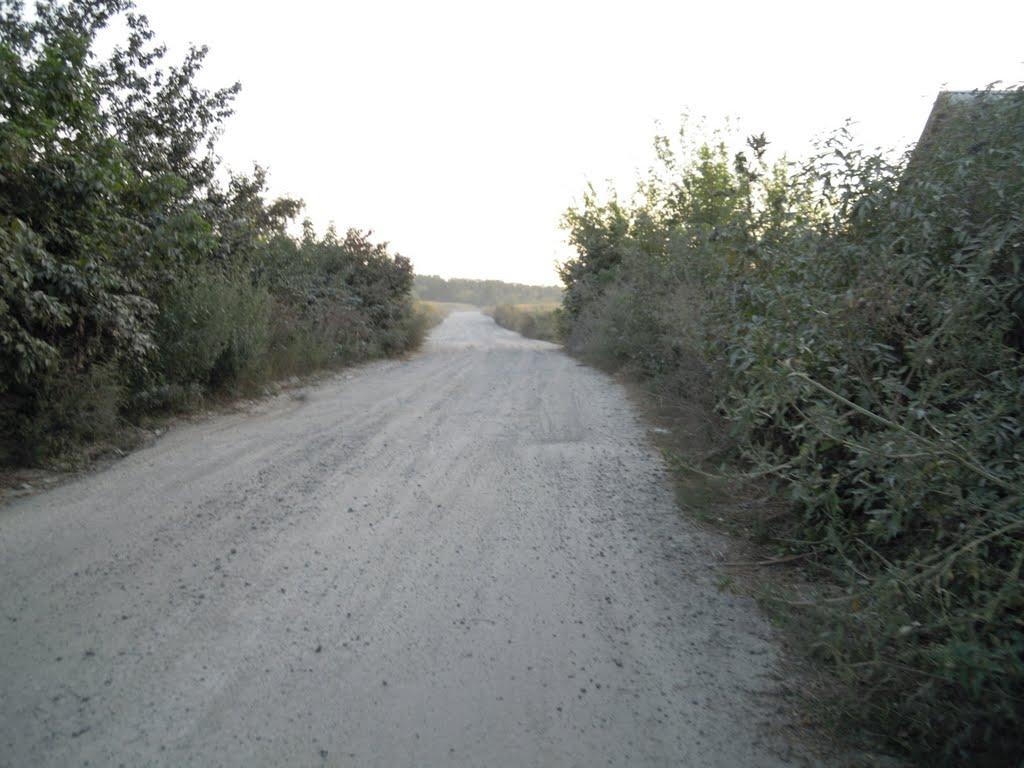 Могилівка з panoramio.com - Могилівка