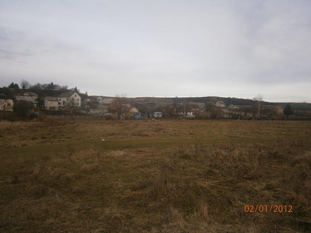 Берездівці з panoramio.com - Берездівці