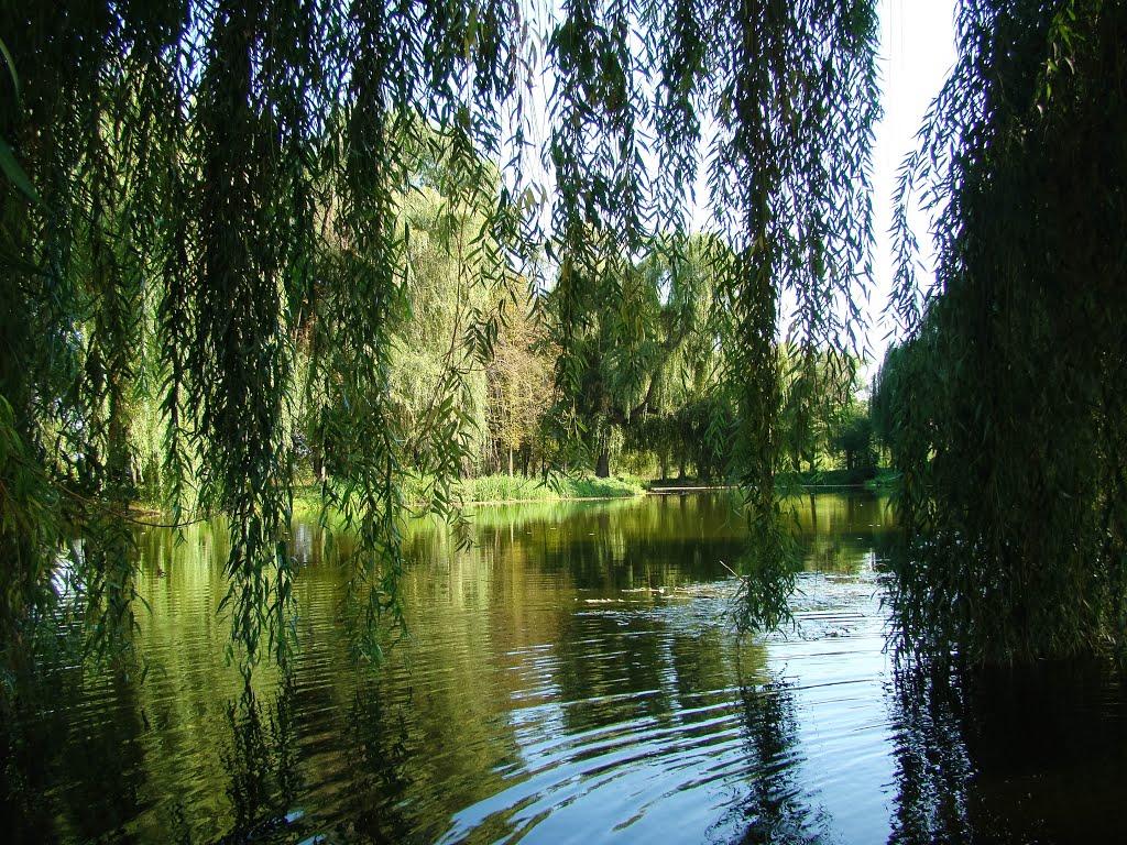 Сміла з panoramio.com (ч.2) - Смела