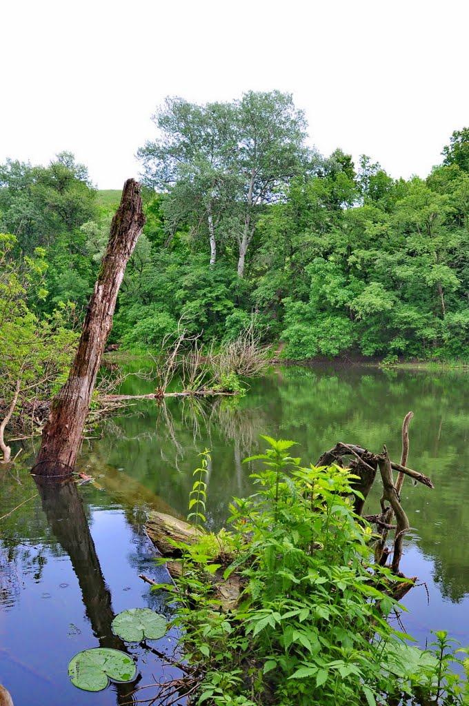 Білогорівка з panoramio.com - Білогорівка