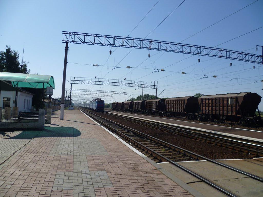 Гоголеве з panoramio.com - Гоголеве