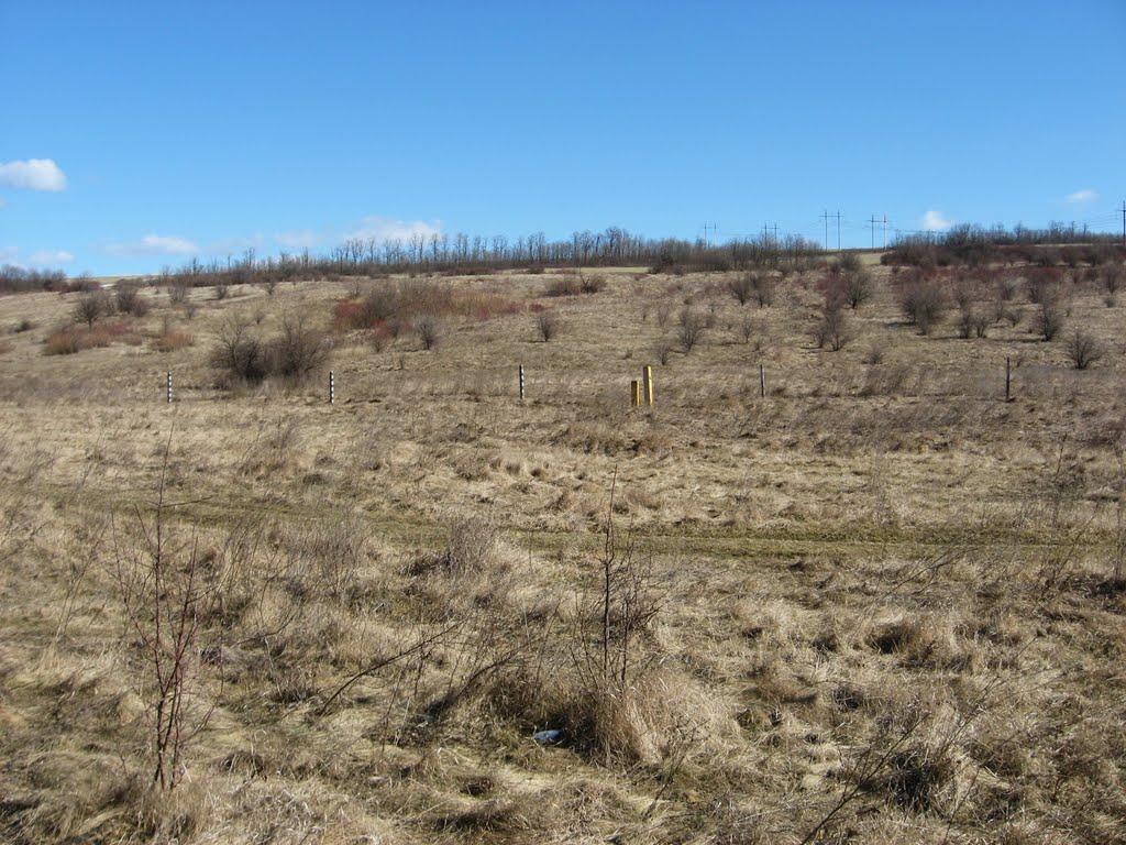 Домниця з panoramio.com - Домниця