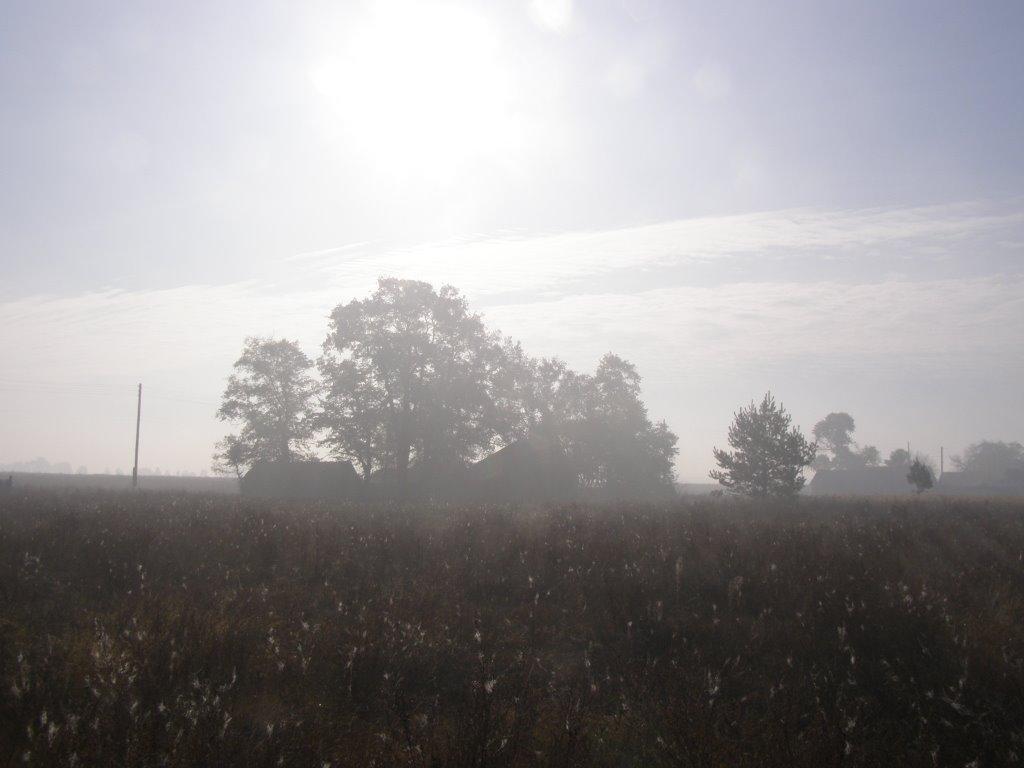 Туманська Гута з panoramio.com - Туманська Гута