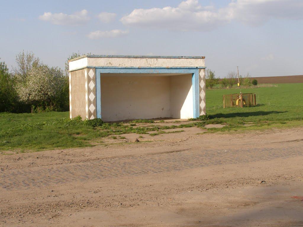 Росоша з panoramio.com - Росоша