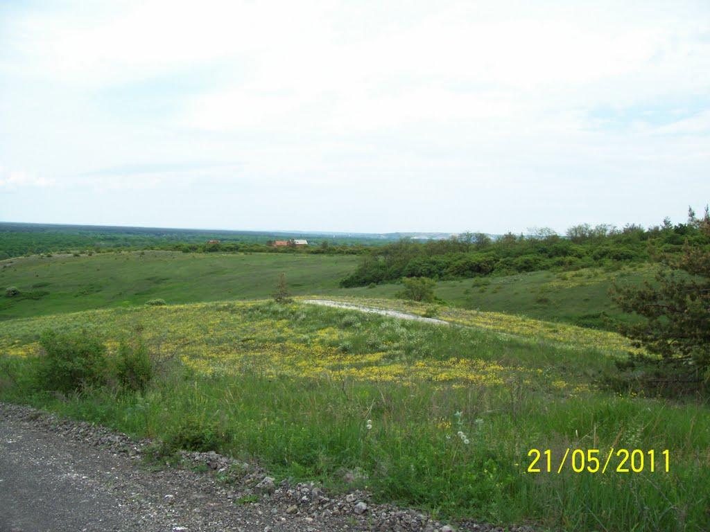 Пискунівка з panoramio.com - Пискунівка