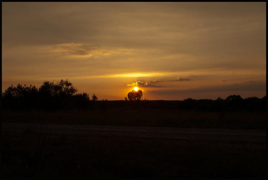 Дівички з panoramio.com - Дівички