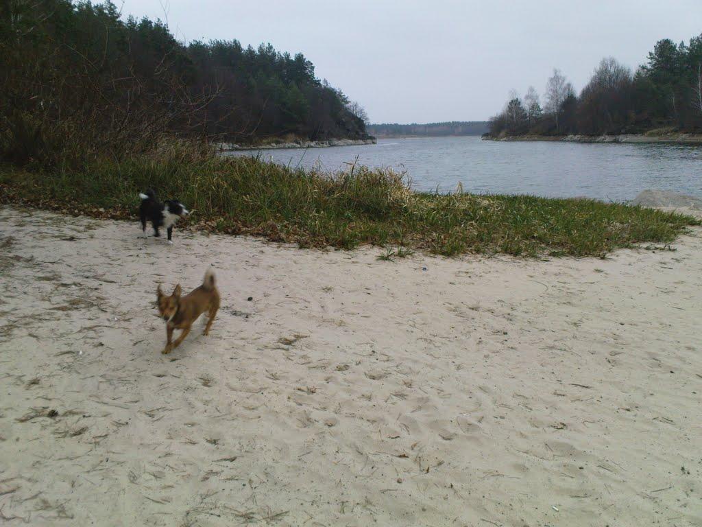 Буки з panoramio.com - Буки