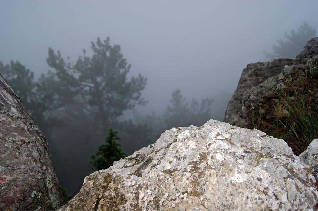 Охотниче з panoramio.com (ч.3) - Охотничее