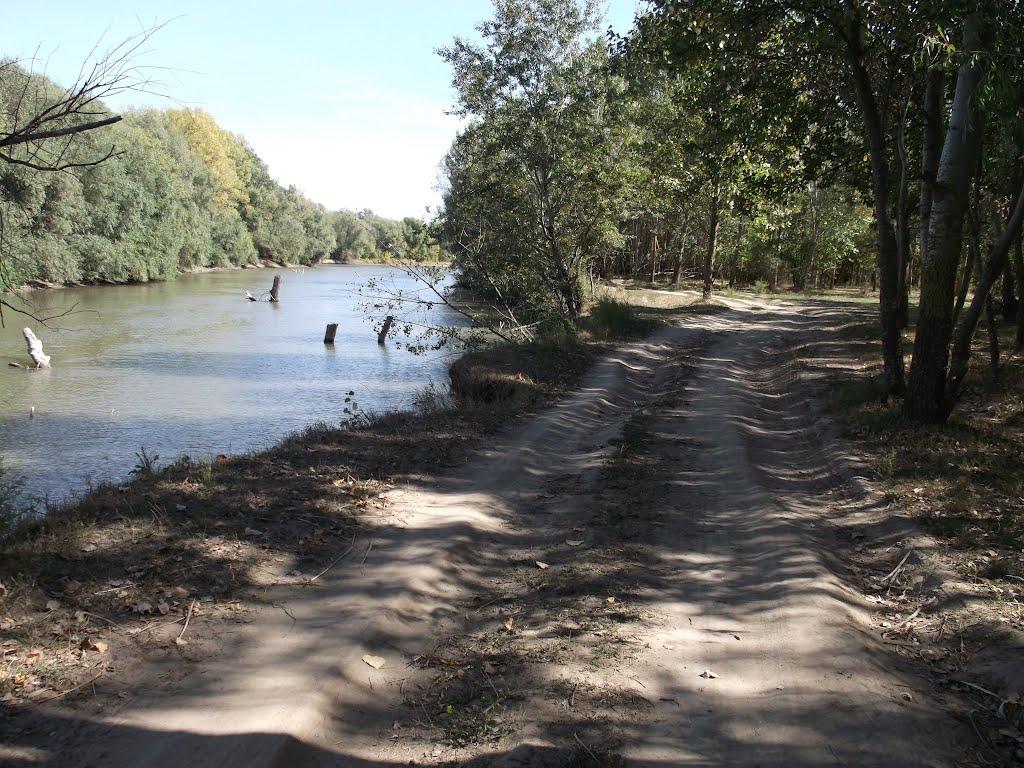 Троїцьке з panoramio.com - Троїцьке