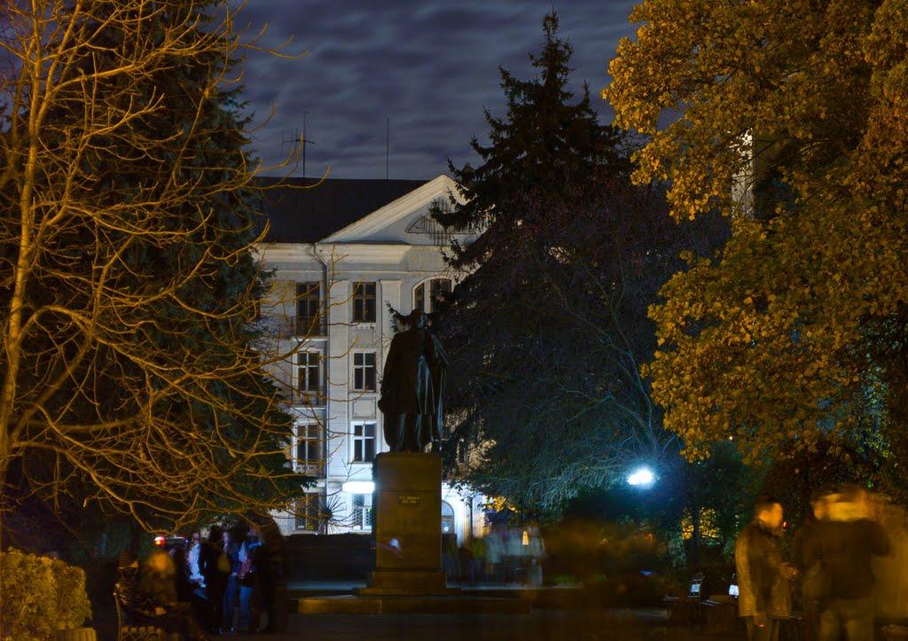Петриків з panoramio.com (ч.2) - Петриків