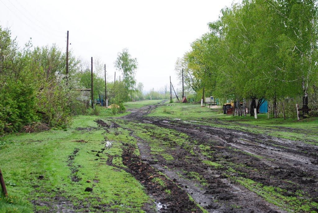 Червоноармійське Друге з panoramio.com - Chervonoarmiyske Druge