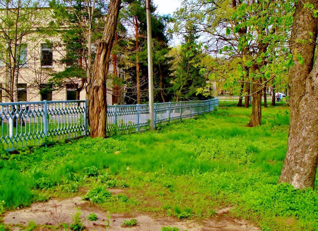 Гудзівка з panoramio.com - Гудзовка