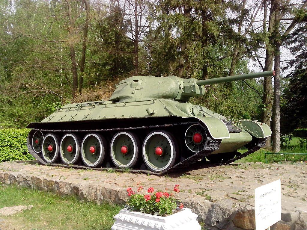 Старі Петрівці з panoramio.com - Старі Петрівці