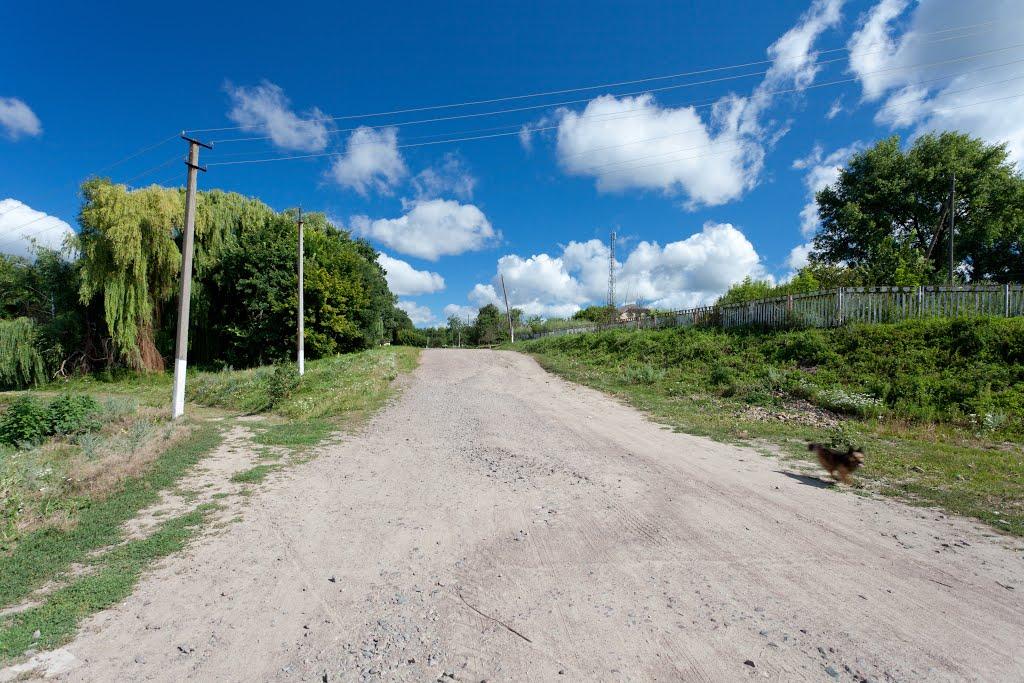 Харліївка з panoramio.com - Харліївка