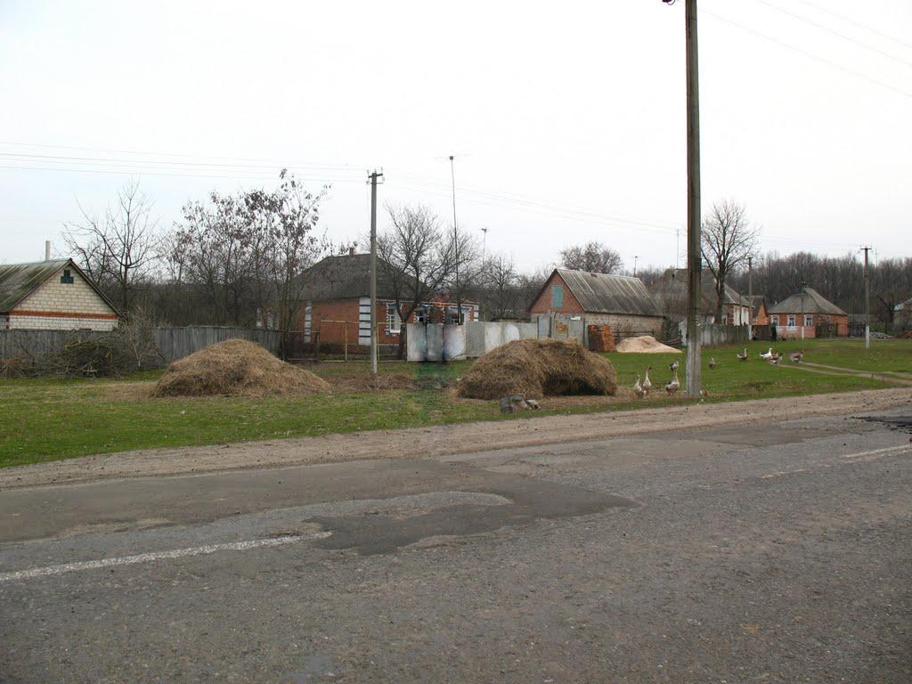 Леськівка з panoramio.com - Леськівка