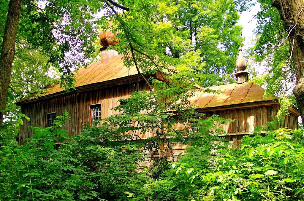 Божа Воля з panoramio.com - Божа Воля