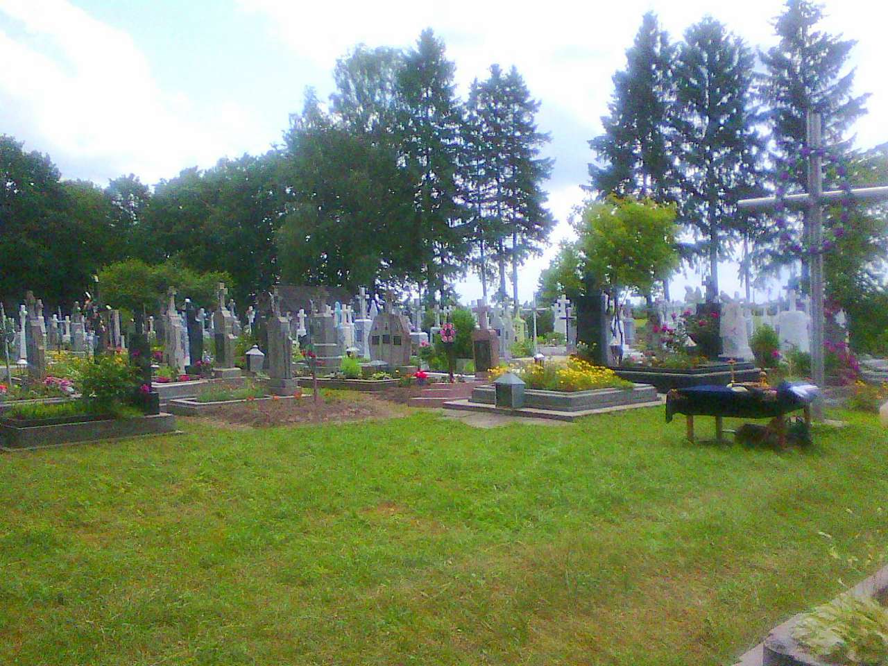 цвинтар - Derzhiv