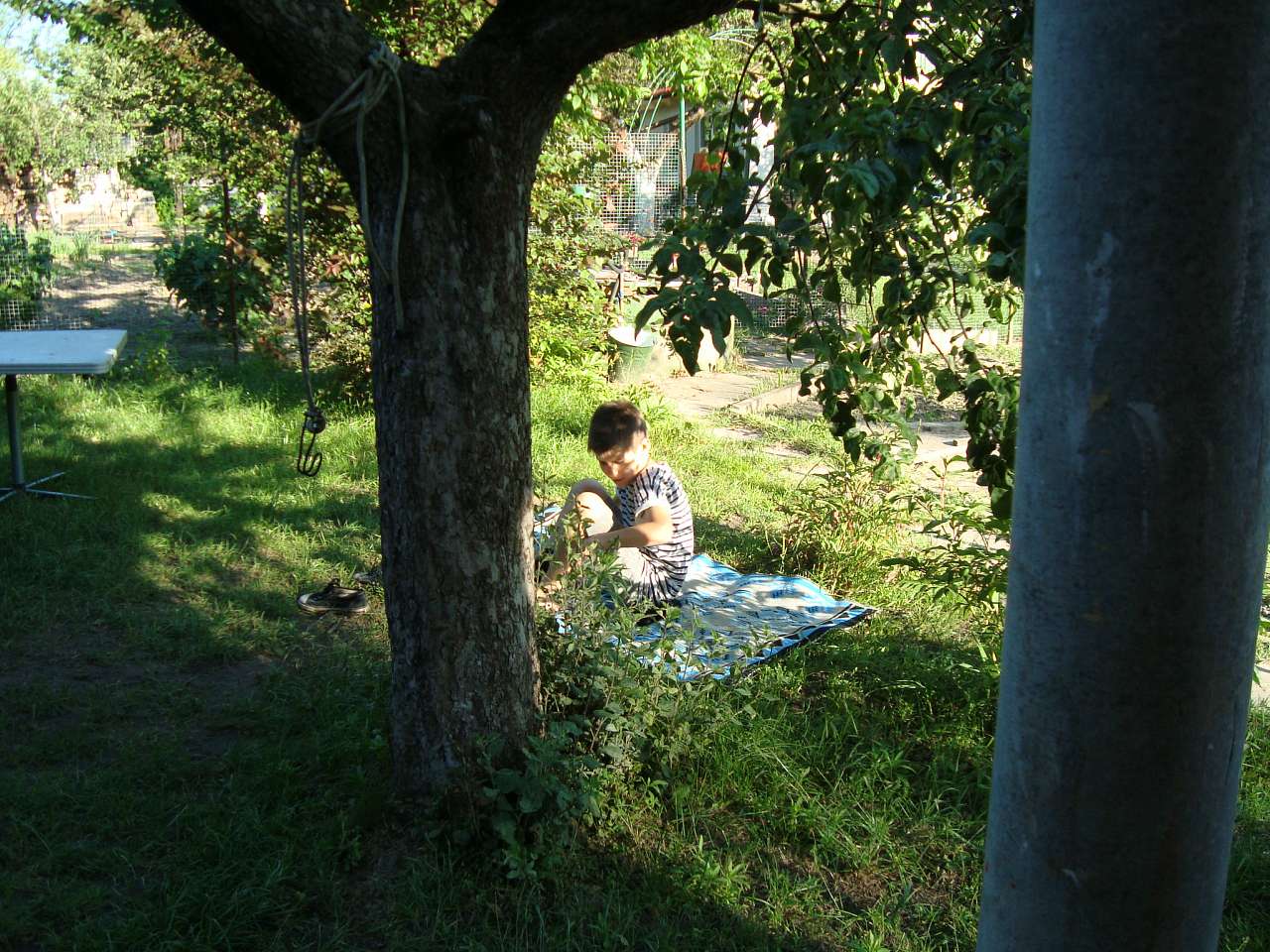 Літо 2016 - Глеваха