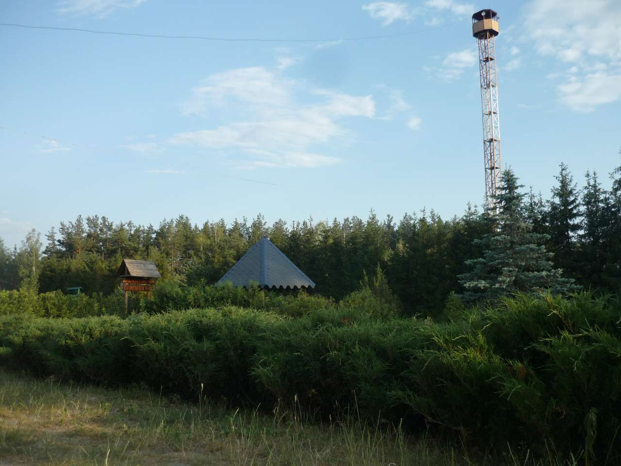 Біловізьке лісництво - Bilovizh