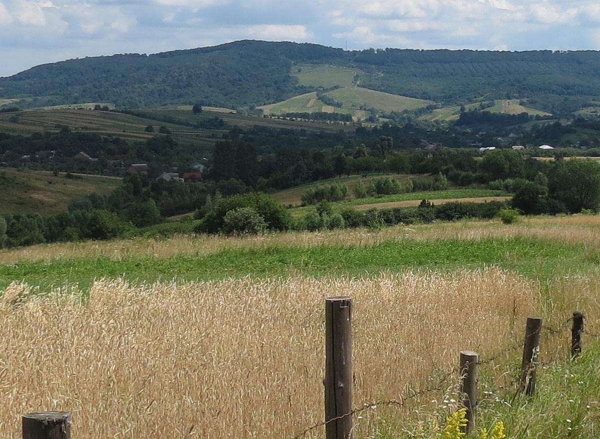 ПАНОРАМИ ОКОЛИЦЬ - Добромиль
