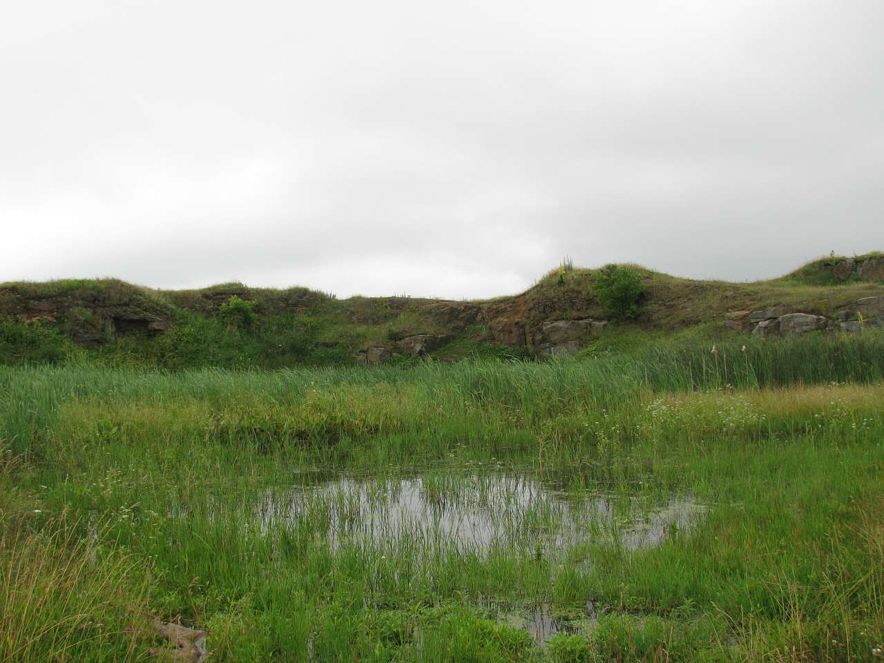 Пиків - Пиків