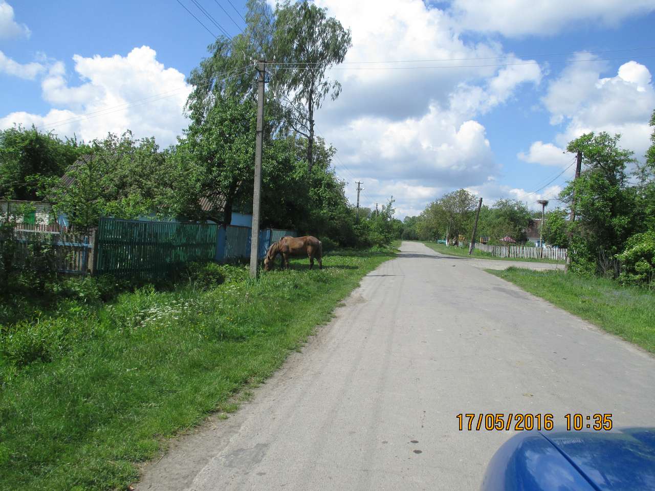 Літо - Головлі