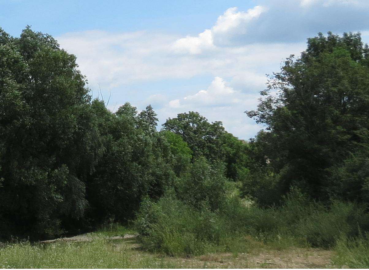 ПАНОРАМИ ОКОЛИЦЬ - Добромиль