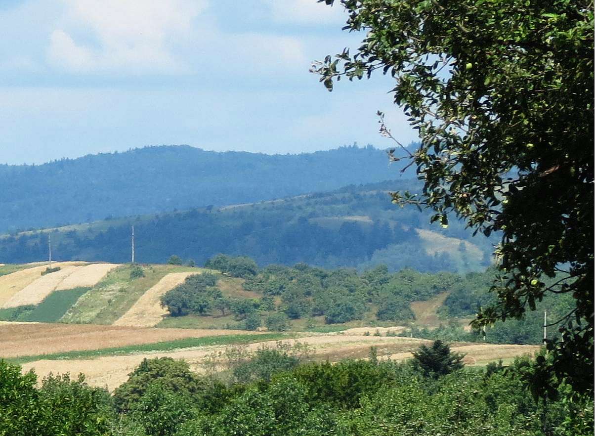 ПАНОРАМИ ОКОЛИЦЬ - Добромиль