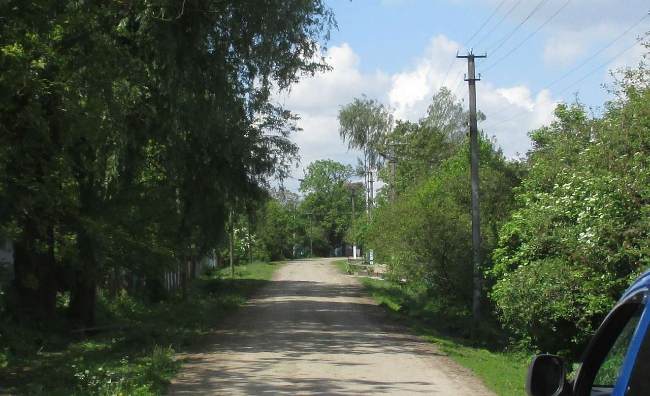 Літо - Головлі